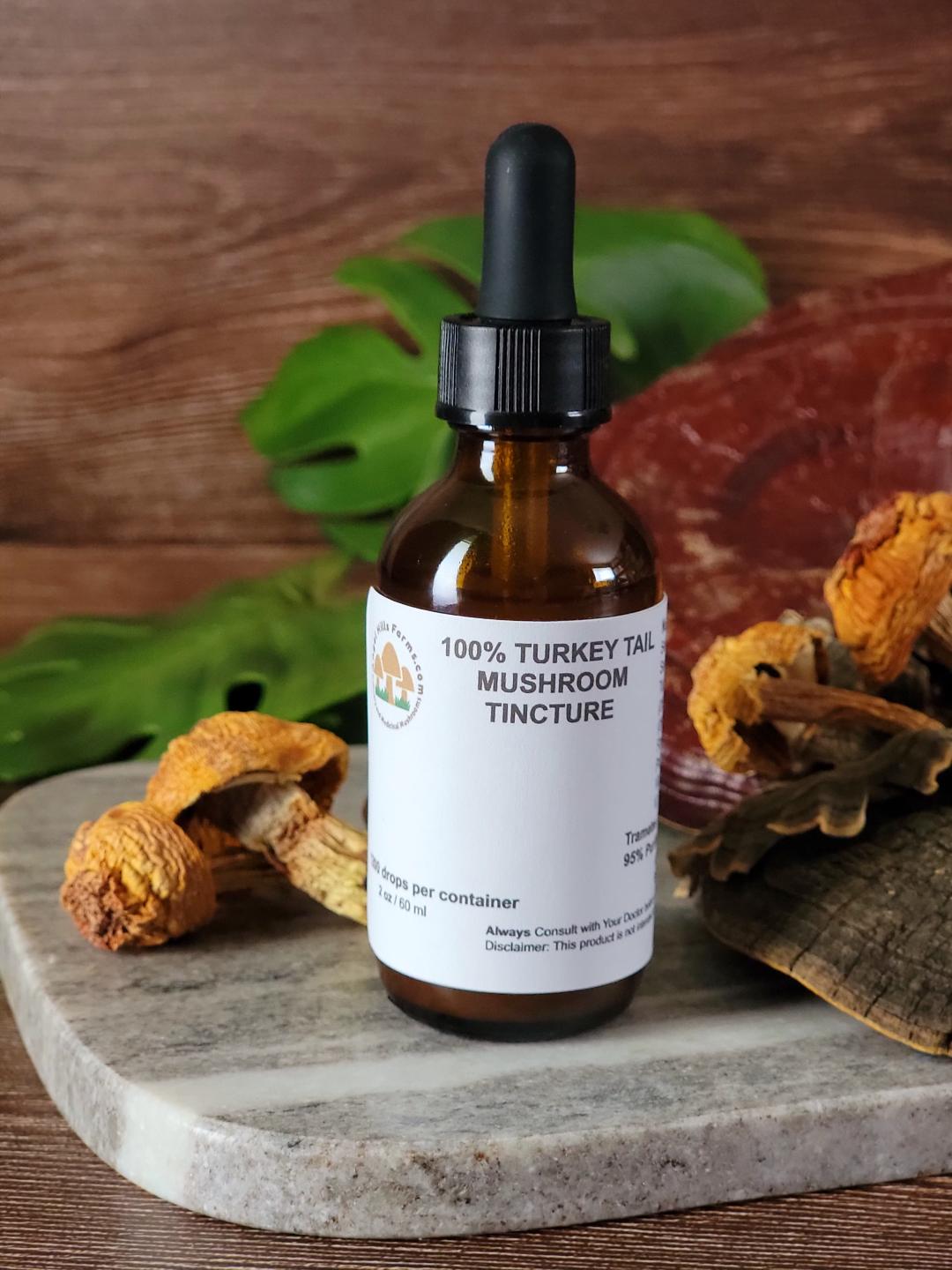 TURKEY TAIL MUSHROOM TINCTURE Angel Hills Farms turkey-tail-mushroom-tincture-angel-hills-farms